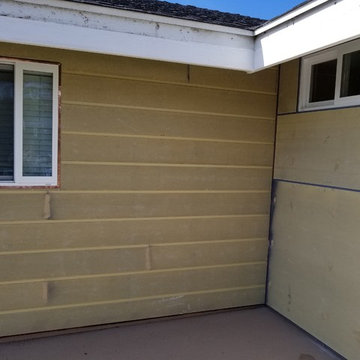 Dana Point Reveal panel