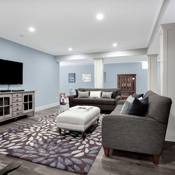 Brandon Basement Remodel