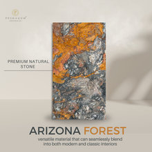 Arizona Forest