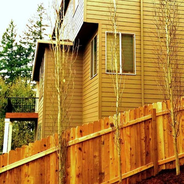 Mission Impossible MakeOver! Specimen Trees & Patio Down Extreme Slope