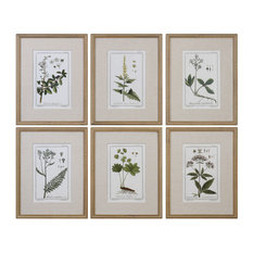 Uttermost Green Floral Botanical Study Prints, Set of 6