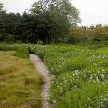 Landscape Ideas