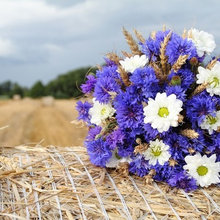 Drying Flowers: Preserve their Beauty and Sentiment
