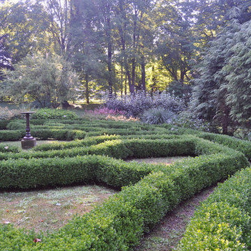Ornamental boxwood hedge