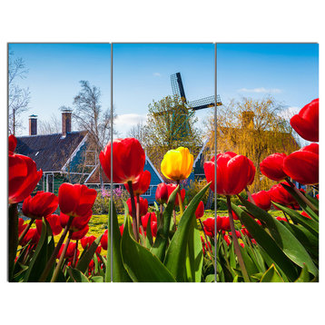 Tulips in the Netherlands Village, Floral Triptych Canvas Print, 36x28, 3 Panels