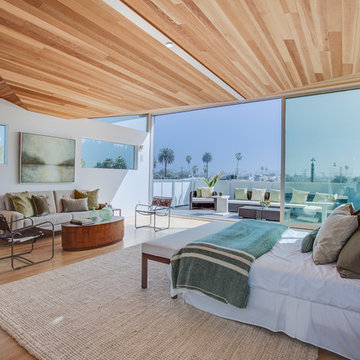 Venice Contemporary Architectural Home