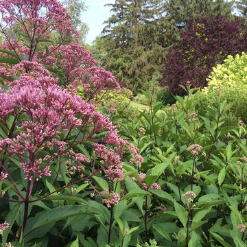 Meadow Planting, Westport CT