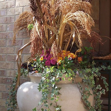 Fall Annuals