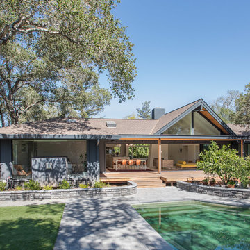 Mid-Century Rebirth
