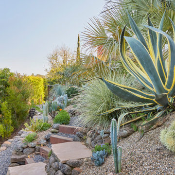Mill Valley - Full Design & Install