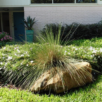 Landscape Revitalization- Update September 2016