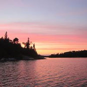 Diana Crane's photo