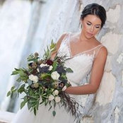 Amanda Mancuso's photo