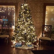 Marsha Baraky Bassi's photo