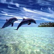 Mary Beth Mallia's photo