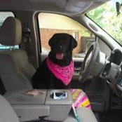 Kim Kidd's photo