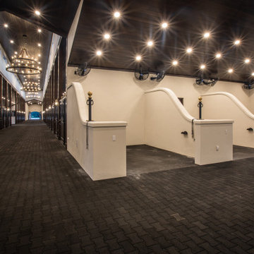 Equestrian: Myakka City