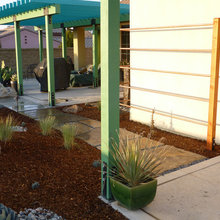Landscape Ideas