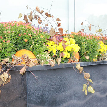 Fall Decorations