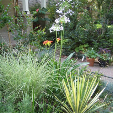English Garden on Winnetka