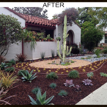 Desert Landscape Design