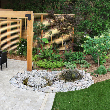 Backyard Oasis in Upper Forest Hill