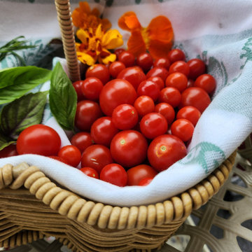 BALCONY GARDEN - an Edible and Ornamental Garden in the Sky