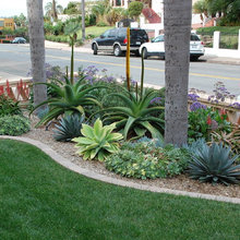 Backyard Ideas