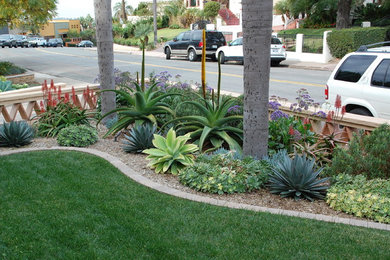 This is an example of a mediterranean landscaping in San Diego.