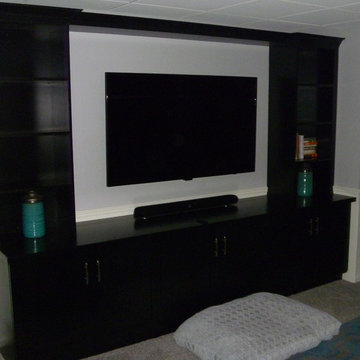 East Grand Rapids Basement