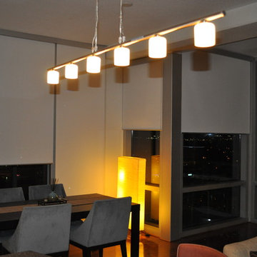Roller Shades at "The VUE" Lake Eola in Orlando City