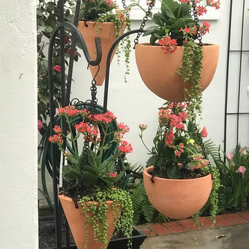 Container Gardens
