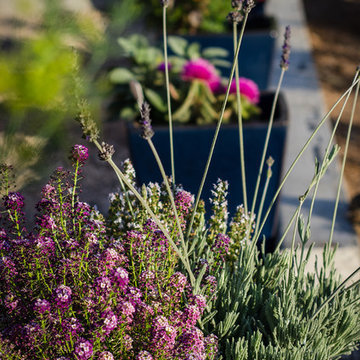 Plantings