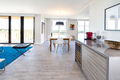 Kitchen - small modern single-wall porcelain tile kitchen idea in Miami with a double-bowl sink, flat-panel cabinets, light wood cabinets, solid surface countertops and gray backsplash