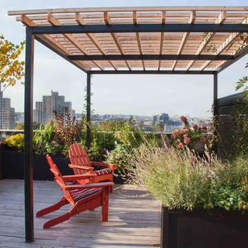 Lush Rooftop