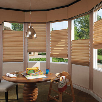 Hunter Douglas Contemporary Living Window Treatments and Draperies