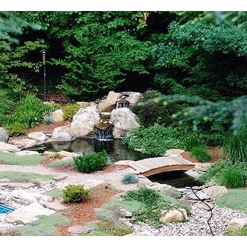 Backyard Waterfall garden pond and bridge