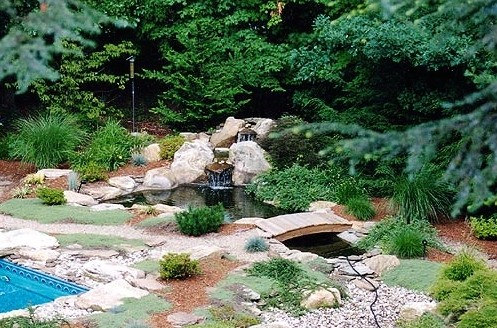 Backyard Waterfalls