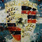 Andrew Murray's photo