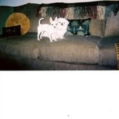 Lena Ignacio's photo