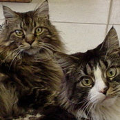 Arlene Hartline's photo