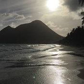 Allison Kurtz's photo