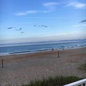 Foto von Lori Hanlon