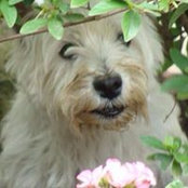 Tabitha Jones DeChant's photo