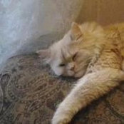 Sally Belal's photo