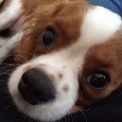Barbara Sgammato's photo