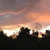 Lillian Dady's photo
