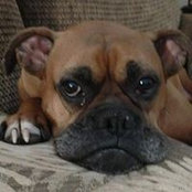 David Robbins's photo