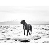 Shannon Hickman's photo