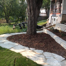 Mtka Backyard